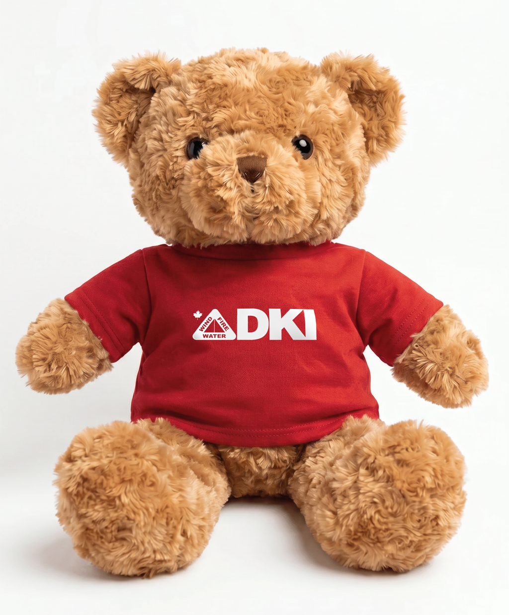 DKI Canada Promotional Teddy Bear